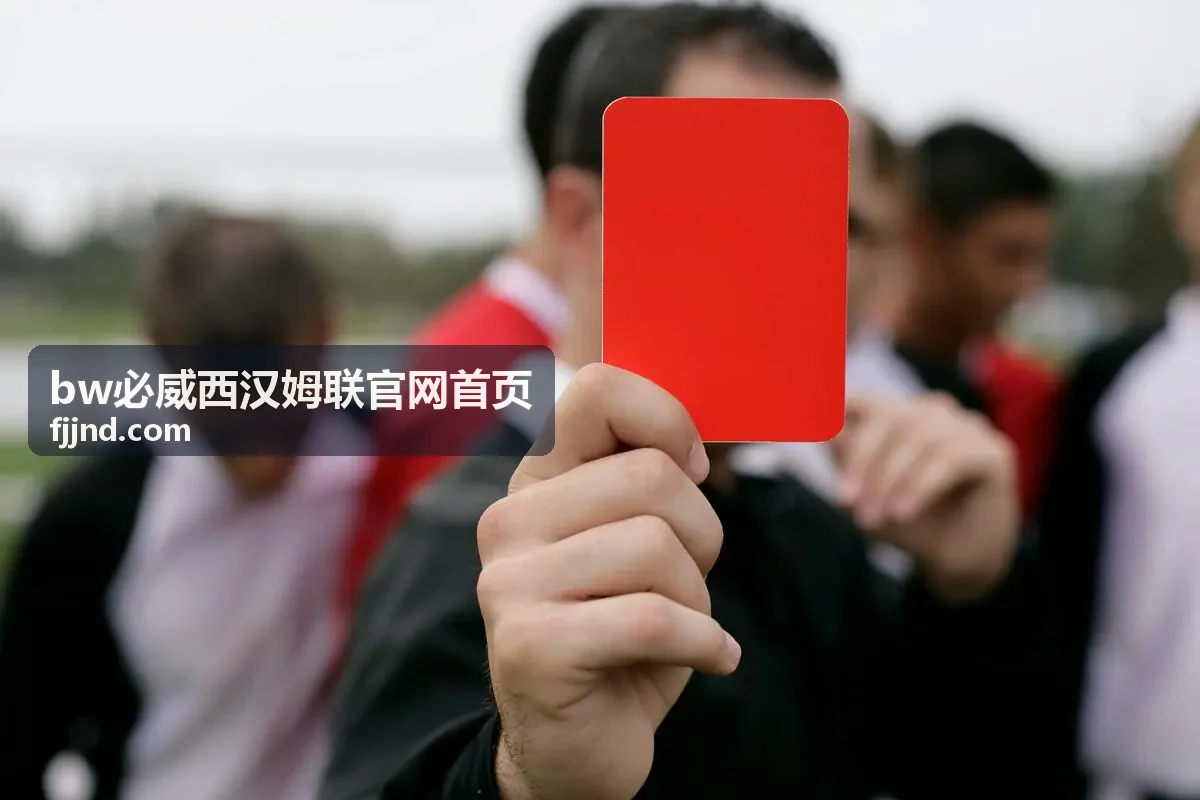 bw必威西汉姆联官网首页重点案例：服务介绍结构调整